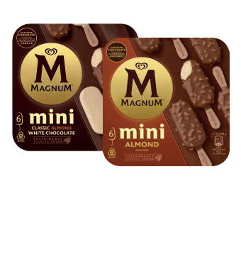 Gelados Mini Magnum